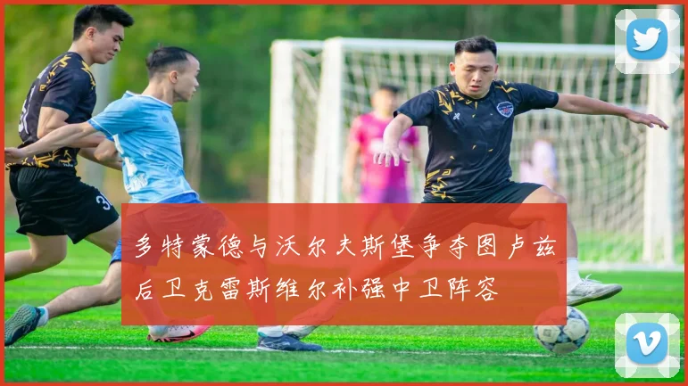 多特蒙德与沃尔夫斯堡争夺图卢兹后卫克雷斯维尔补强中卫阵容