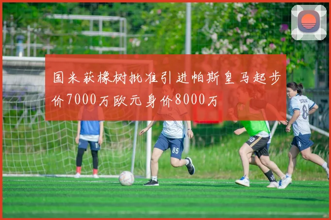 国米获橡树批准引进帕斯皇马起步价7000万欧元身价8000万