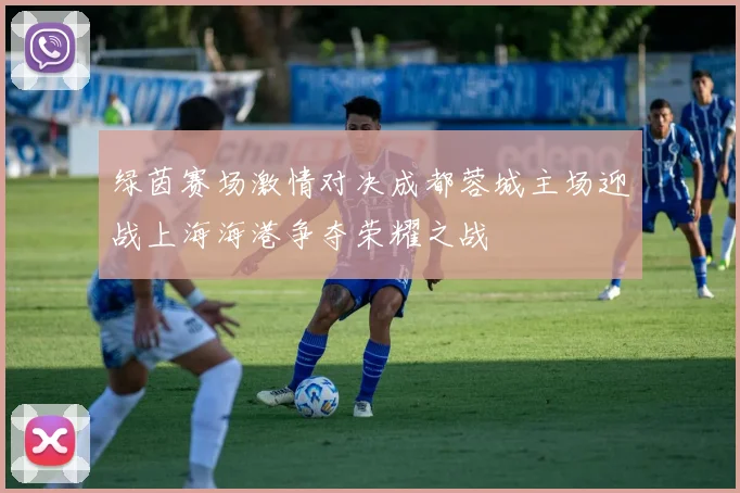 绿茵赛场激情对决成都蓉城主场迎战上海海港争夺荣耀之战